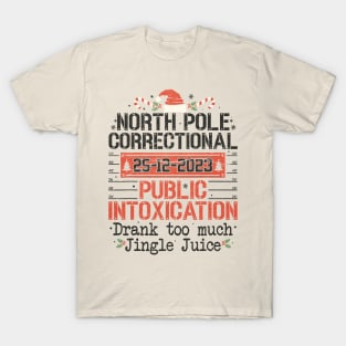 North Pole Correctional Public Intoxication T-Shirt